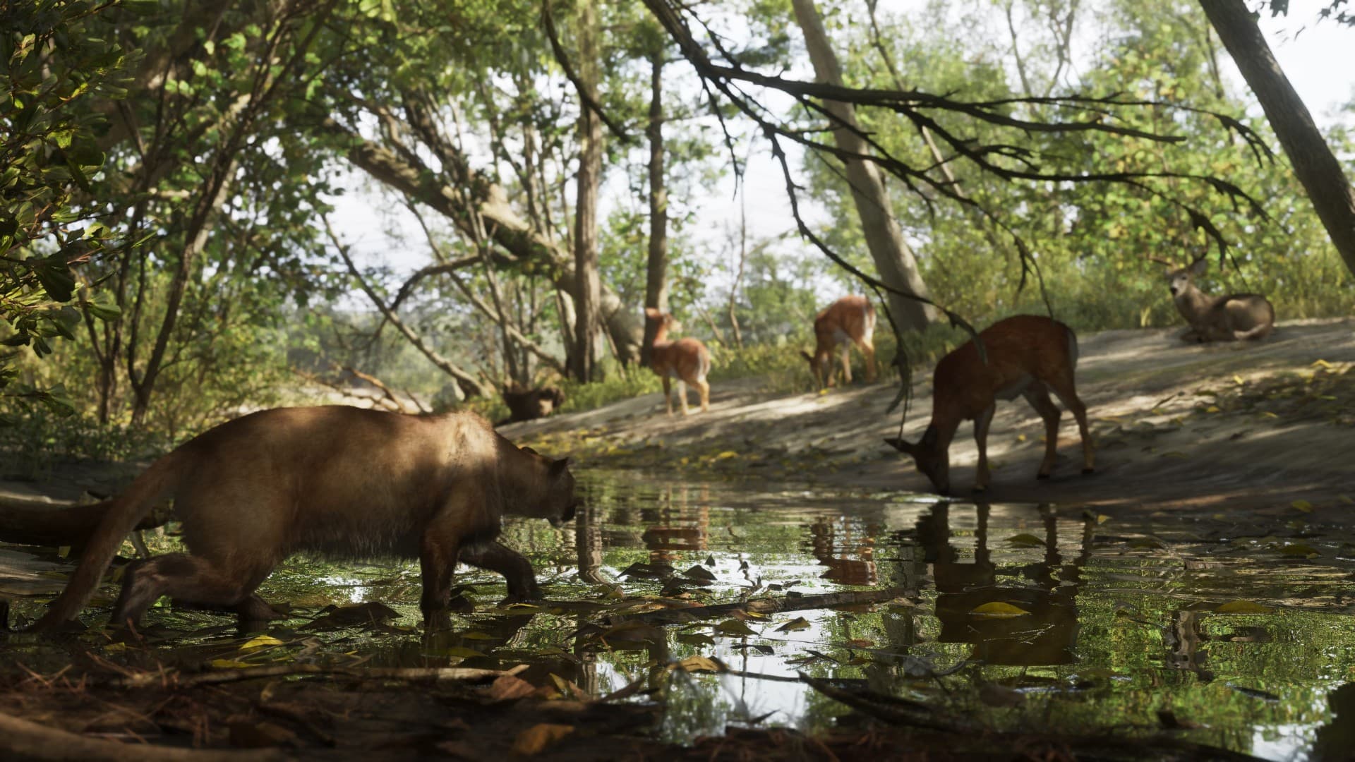 Mount Kalaga National Park GTA 6 — vue 5